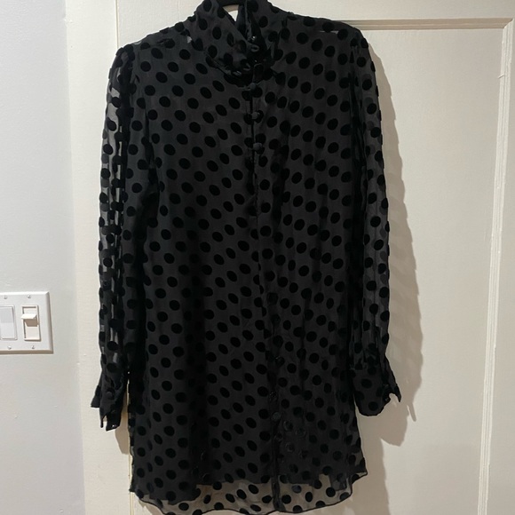 Stone Cold Fox Sheer Velvet Polka Dot Dress - Picture 15 of 16